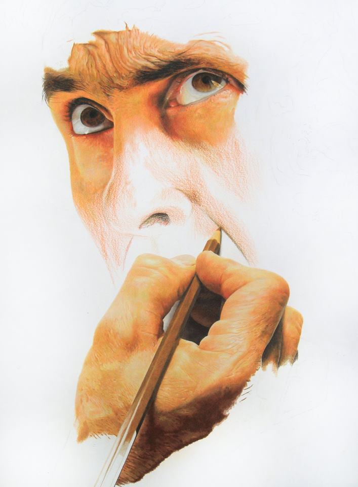 crayons de couleur patrick rogelet duel